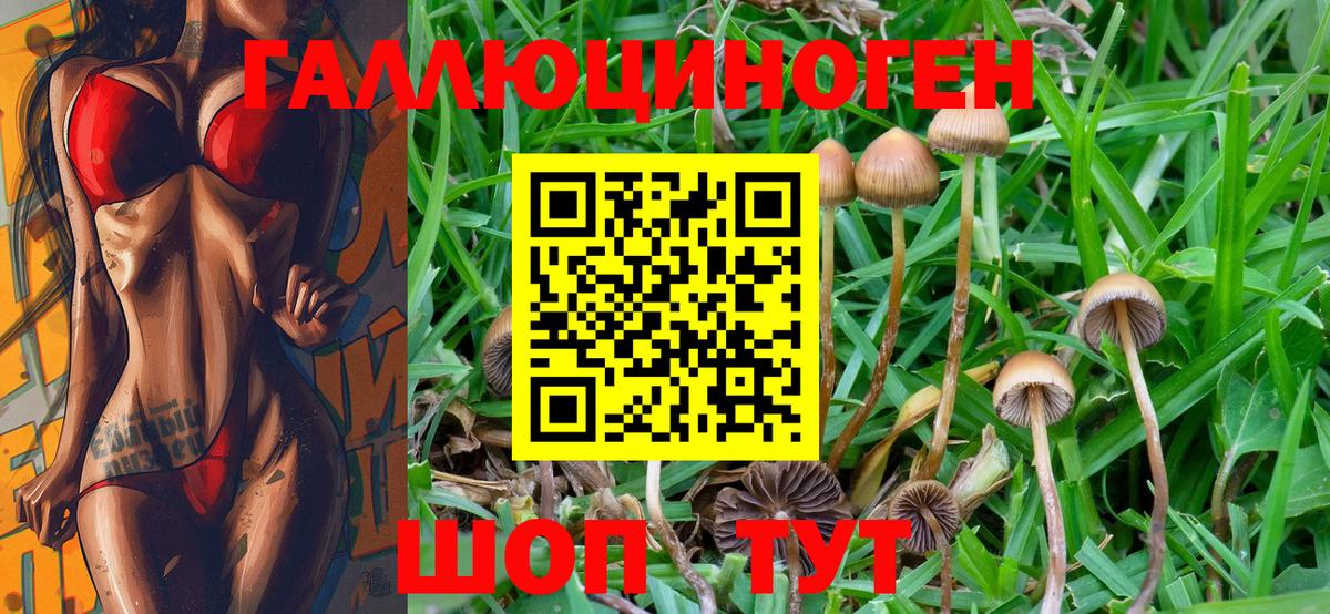 Галлюциногенные грибы мицелий Тихорецк