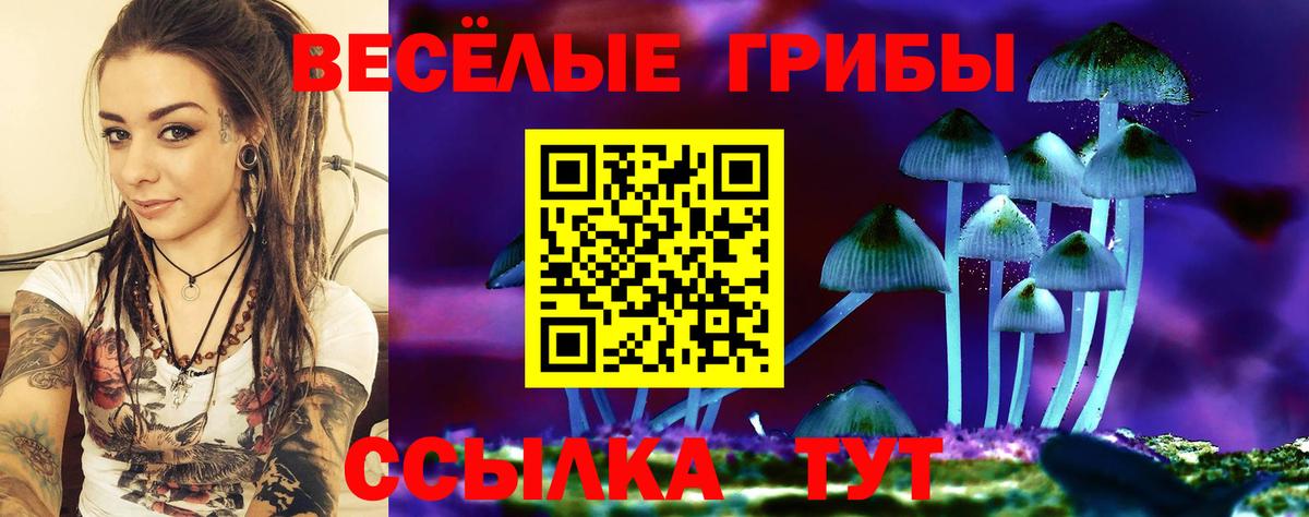 Тихорецк  где продают наркотики  Вход с VPN  Галлюциногенные грибы Psilocybe  Галлюциногенные грибы мухоморы 